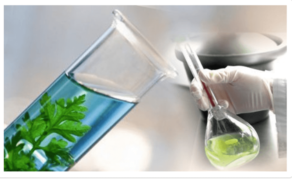 کاربرد متیلن کلراید در صنایع غذایی و آشامیدنی